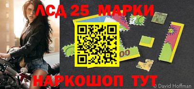 стафф Донецк