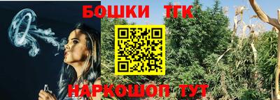 бошки Дубна