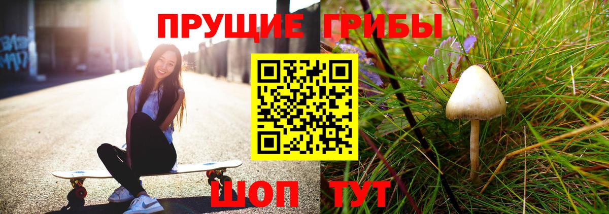 Галлюциногенные грибы прущие грибы  Псилоцибиновые грибы мицелий  Вход с VPN  Майкоп 